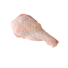 بازو بوقلمون