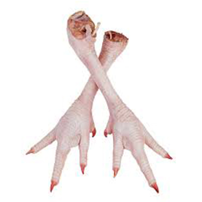 پای بوقلمون