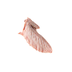 نوک بال بوقلمون